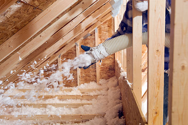 Best Wall Insulation Installation in Sylvania, AL